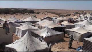 Campamento GDEIM IZIK  Les sahraouis assiégés Devoir de mémoire devoir daction [upl. by Nerrol828]