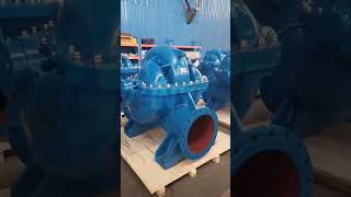 Double suction split case centrifugal pump drainage testHNYB PUMPS [upl. by Norahs]