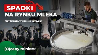 Kolejne spadki na rynku mleka Co się dzieje z branżą [upl. by Meadows]