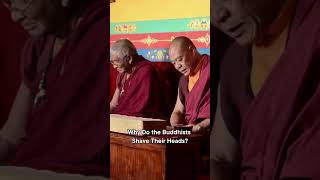 Why Do the Buddhists Shave Their Heads documentary docuplay [upl. by Dibb]