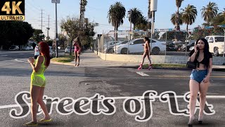 The Streets of LA  Figueroa Street  Part 2  Los Angeles Ca 4K [upl. by Browne]