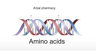 Biochemistry  amino acids الاحماض الامينية [upl. by Novick]