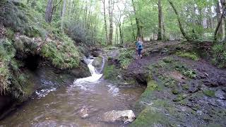 Wanderung  Im Tal des Ninglinspo Belgien [upl. by Brasca]