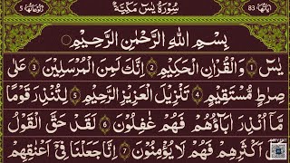 Surah Yaseen Surah Rahman  Best Quran Recitation Surah Mulk  Surah Yasin full Quran Tilawat [upl. by Michell771]