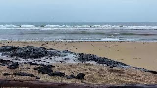 CARPINTERIA STATE BEACH 4PM LIVE [upl. by Zoellick]