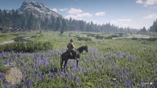 Red Dead Redemption 2  RDR2  ROCKY MOUNTAIN COW ELK  LOCATION  ZOOLOGIST 61 [upl. by Jany]