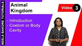 Animal Kingdom  NEET  Introduction  Coelom or Body Cavity  Neela Bakore Tutorials [upl. by Cavanaugh]