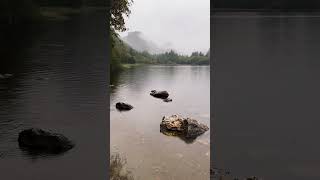 Glendalough Ireland 🇮🇪 travel dublin touristattraction shortsyoutube tour [upl. by Acissj110]