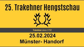 Trakehner Hengstschau 2024 Teil 3 [upl. by Publea503]