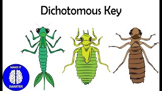 Dichotomous Keyshow to use them [upl. by Culver]