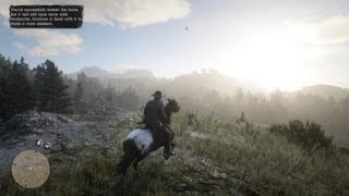 Red Dead Redemption 2  RDR2  HORSEMAN 10 CHALLENGE  WILD APPALOOSA  LOCATION  RARE HORSE [upl. by Golda]