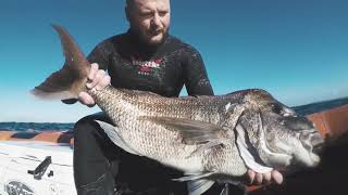 Techniques For Spearfishing Snapper  HOW TO SPEARFISH [upl. by Boote932]