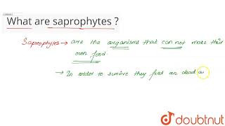 What are saprophytes   CLASS 10  NUTRITION  BIOLOGY  Doubtnut [upl. by Aleac]