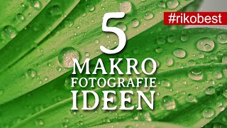 Makrofotografie  5 Makrofotografie Ideen zum Ausprobieren zu Hause  fotografieren lernen [upl. by Ecnarolf]