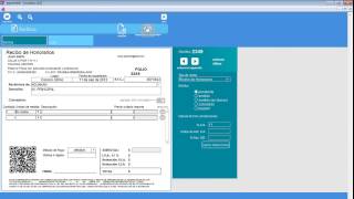 Software de Recibos y Facturas [upl. by Ida]