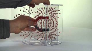 PH EM MF DEMO 70011A V0513 3D Magnetic Field Demonstrations Bar and Horseshoe Magnets [upl. by Akram]