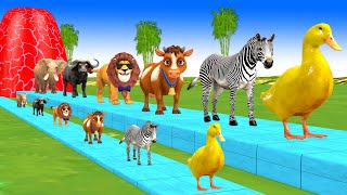 Paint amp Animals Cow ElephantsLionZebraBuffalo Fountain Crossing Transformation Cartoon [upl. by Suirtimed986]