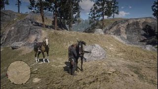 Red Dead Redemption 2  High Stakes Map 3 Treasure Location [upl. by Joab]