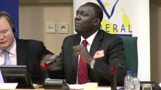 ALDE ADLE Press Conference on Ivory Coast [upl. by Uhthna]