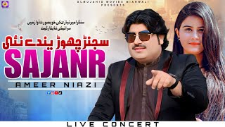 Sajanr Chorendy Nai  Ameer Niazi  New Saraiki Viral Song 2024 [upl. by Ardnasirhc]