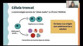 ¿Sabes qué son las células troncales mesenquismales [upl. by Annaeirb]