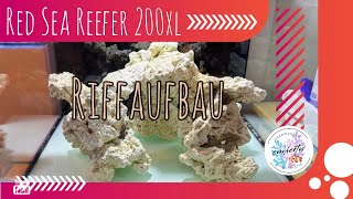 Red Sea Reefer 200xl  Riffaufbau [upl. by Jeromy190]