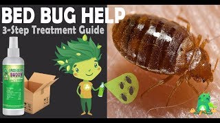 Got Bed Bugs This Kills Bed Bugs Guaranteed [upl. by Klapp27]