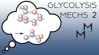 The Mechanisms of Glycolysis Part 2 [upl. by Vallie16]