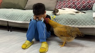 How do hens and kittens react when children cry 😅Cute and interesting animal video [upl. by Brodsky]