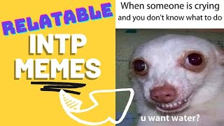 INTP MEMES Weirdly Accurate [upl. by Jadd9]