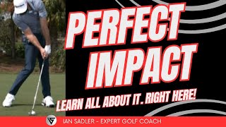 Golfers PERFECT Impact Position  Hit The Ball With Confidence [upl. by Nomae]