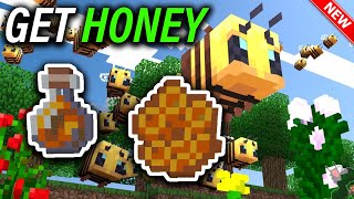 How To Get Honey In Minecraft  Full Guide  Minecraft Bee and Honey Farming Guide [upl. by Lokcin]