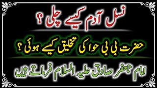 Nasal E Adam Kaise chali   Hazrat Hawa Ki Takhleeq Kaise hui   Imam Jaafar Sadiq Farmatey Hain [upl. by Ardehs]