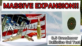 65 Creedmoor Hornady American Whitetail Ammo Review amp Gel Test ENOUGH PENETRATION FOR DEER [upl. by Cheung]