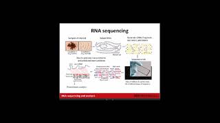 Introduction to RNA Sequencing and Analysis [upl. by Freed]