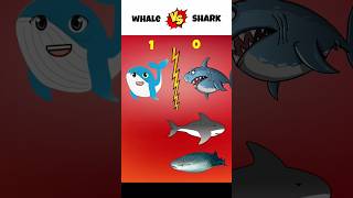 Whale Vs Shark 😡  shorts fish [upl. by Fadas268]