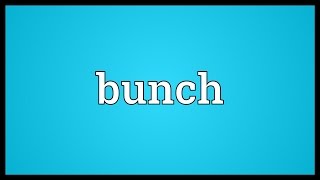 Bunch Meaning [upl. by Theressa]