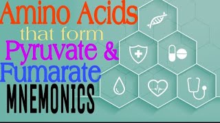 Amino Acids that form Pyruvate and Fumarate MNEMONICS  Lecture 5 [upl. by Ezechiel]