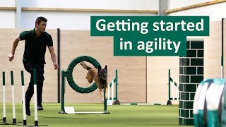 How to get started in Dog Agility  Dog Tips and Tricks [upl. by Gerlac]