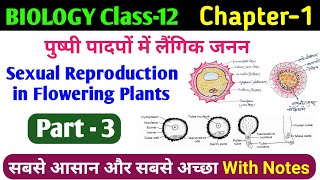 Microsporogenesis amp Microspore Structure  12th biology sexual reproduction in flowering plant [upl. by Kimmel]