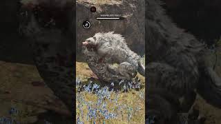 Hunting Snowblood Wolf Far Cry Primal  Full Video On This Channel shorts farcryprimal animals [upl. by Ushijima]