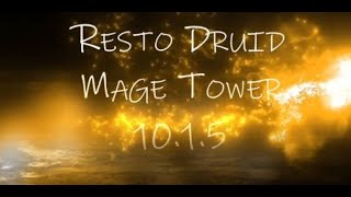 Resto Druid  Mage Tower [upl. by Stargell]