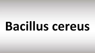 How to Pronounce Bacillus cereus [upl. by Nikola842]