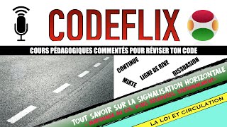 COURS DE CODE GRATUIT  Tout savoir sur la signalisation HORIZONTALE pour réussir son code [upl. by Elehcar]