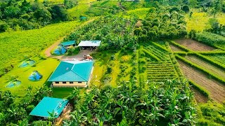 A Costa Rican Homesteader’s Dream AquaCulture Food Forest Kitchen Exotic Fruit Jungles  More [upl. by Ahsele799]