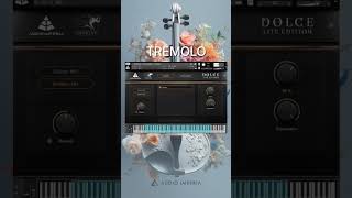 Check out these dynamic tremolos from Dolce LE audioimperia [upl. by Nerfe247]