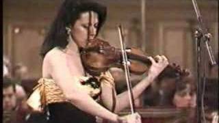 Beethoven violin concerto  2nd movement [upl. by Aleinad]