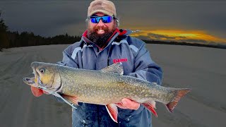 Moosehead Lake Brook Trout New Ice Fishing Video [upl. by Tower884]