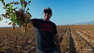 Drink Like You Care  Exploring Arizonagrown potatoes with Frites Street [upl. by Korney]