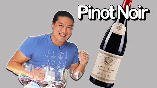 Run to a wine store to buy this right now 10 Pinot Noirs [upl. by Siraj]